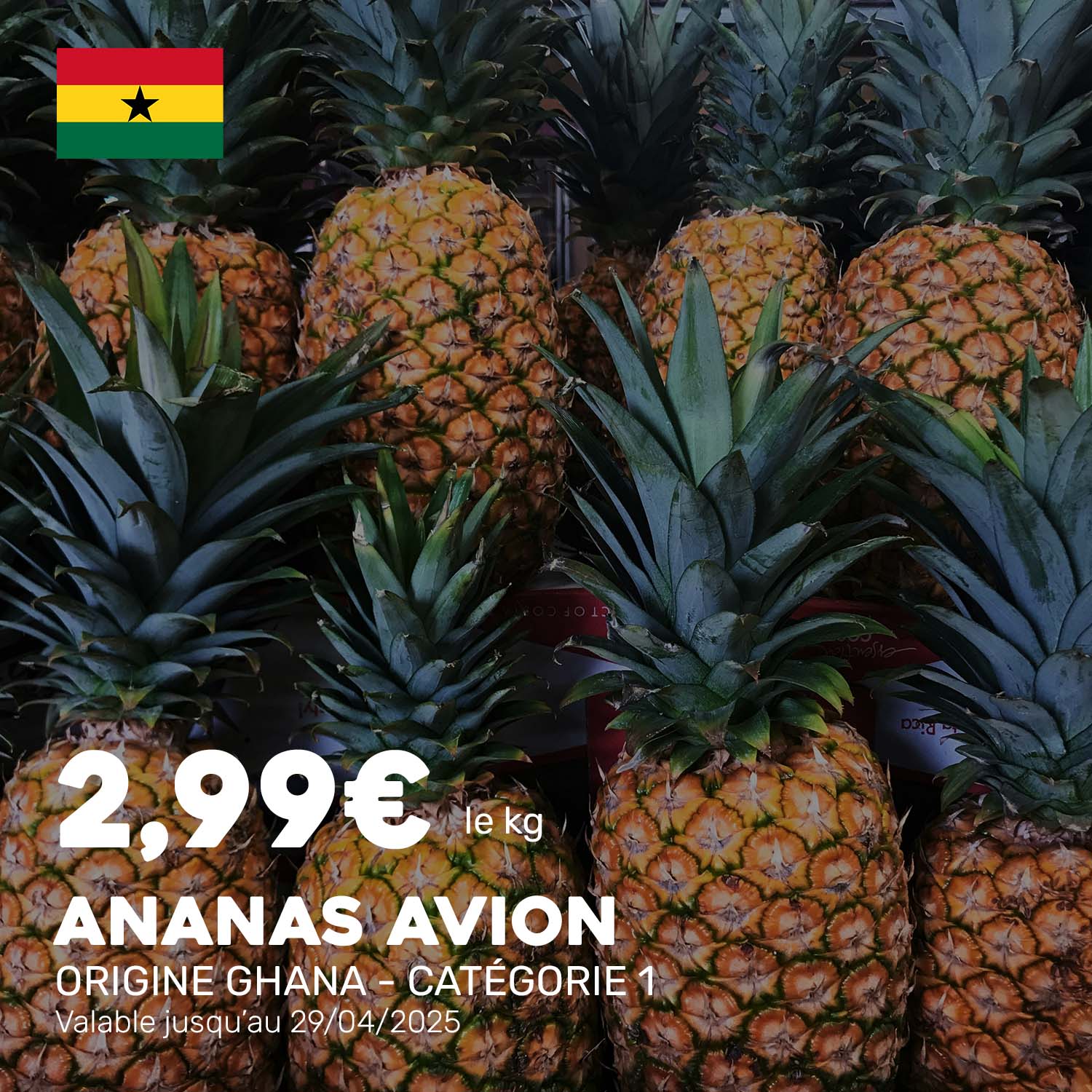 Ananas_avion