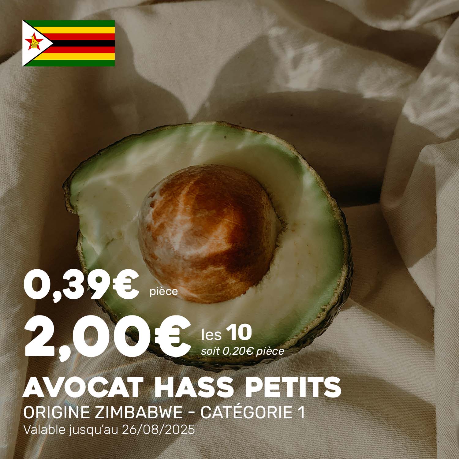 Avocat_hass_petits