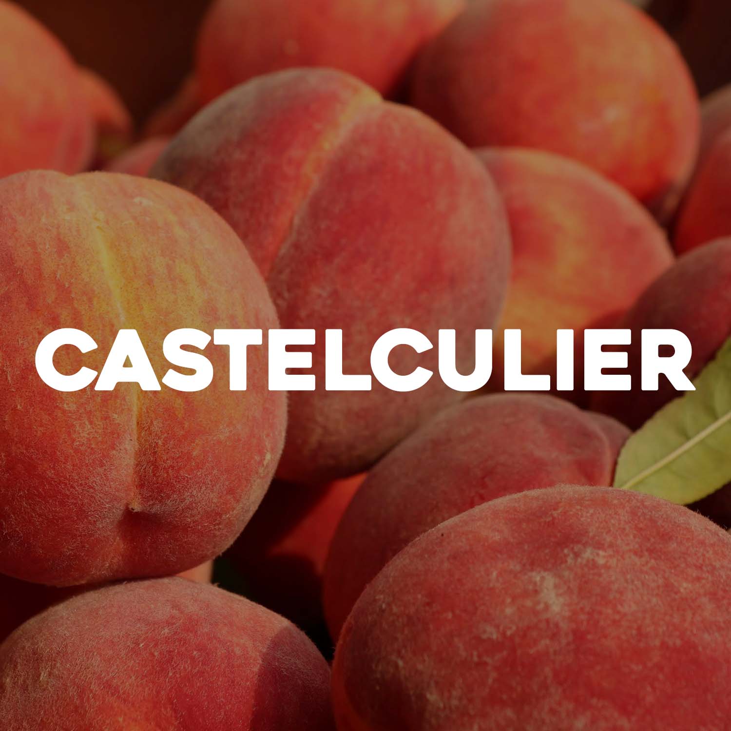 CASTELCULIER