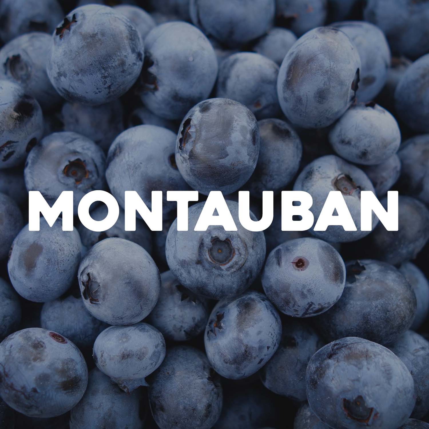 MONTAUBAN
