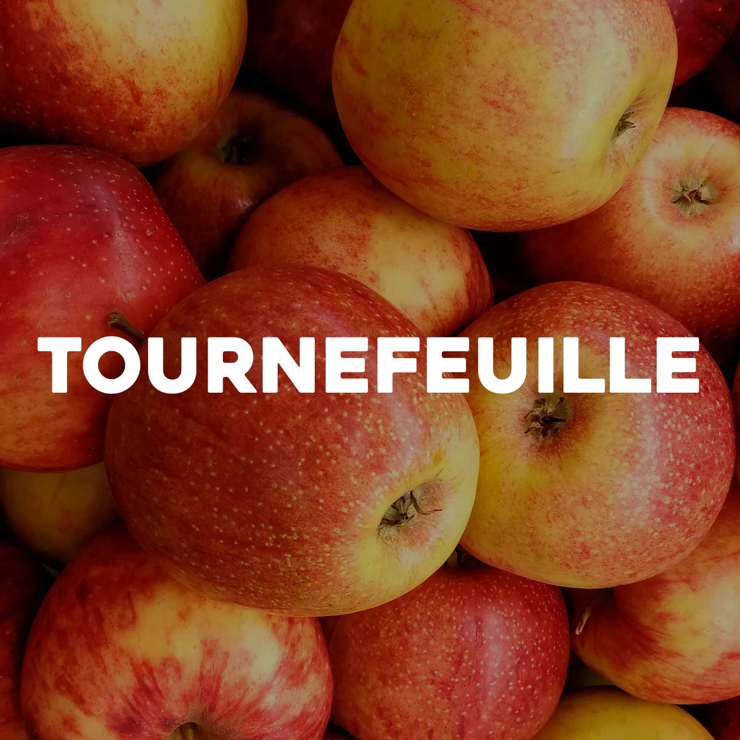 TOURNEFEUILLE_2