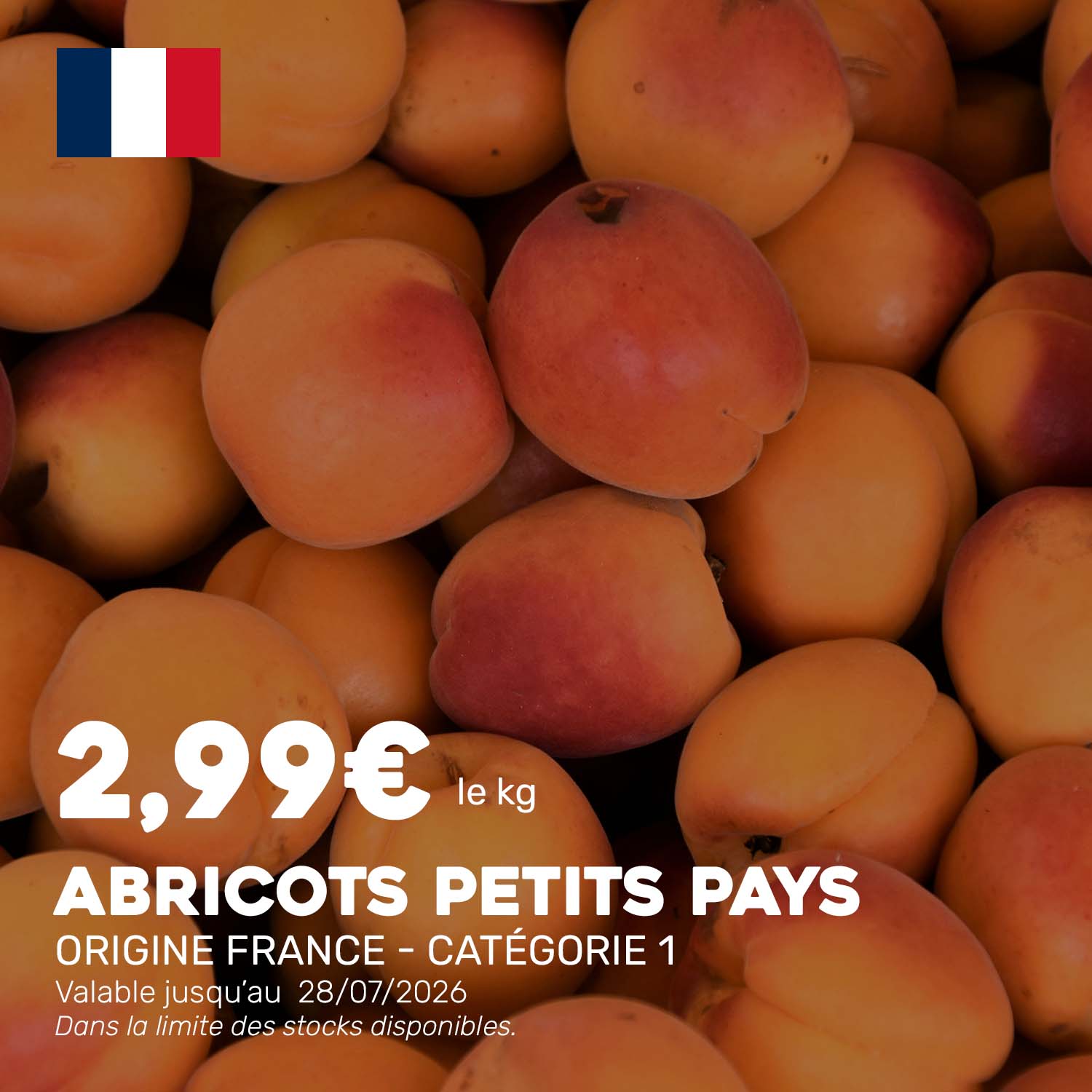 Abricots_petits_pays
