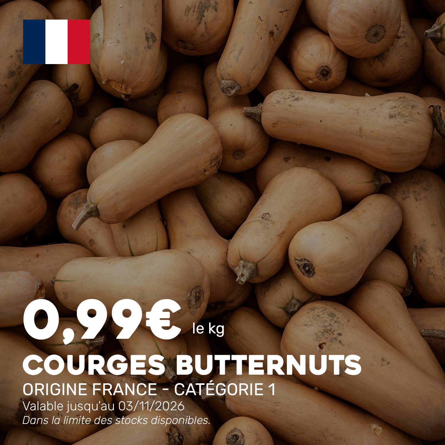 Butternut_6