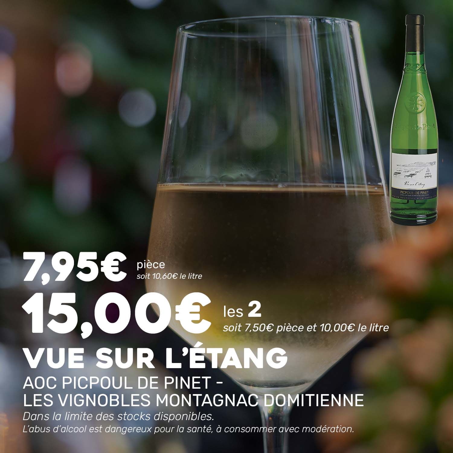 Vue_sur_letang_VIGNOBLESMONTAGNACDOMITIENNE